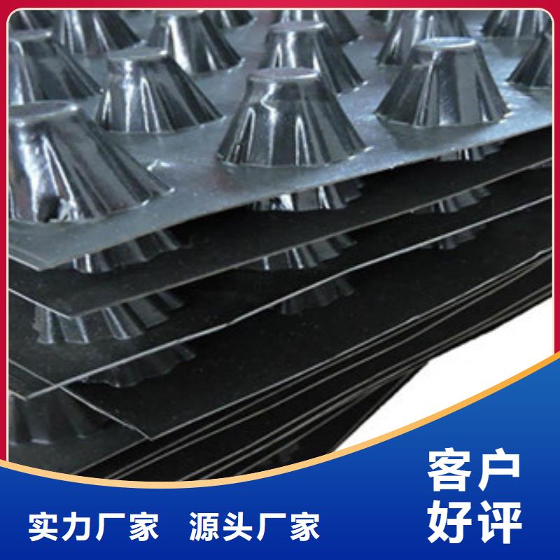 塑料排水板玻纤土工格栅优选厂商