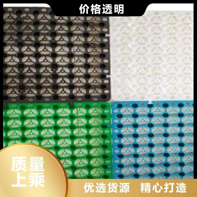 塑料排水板,塑料土工格栅精致工艺