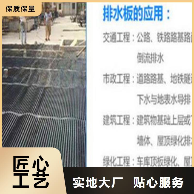 塑料排水板买的放心安兴用的舒心