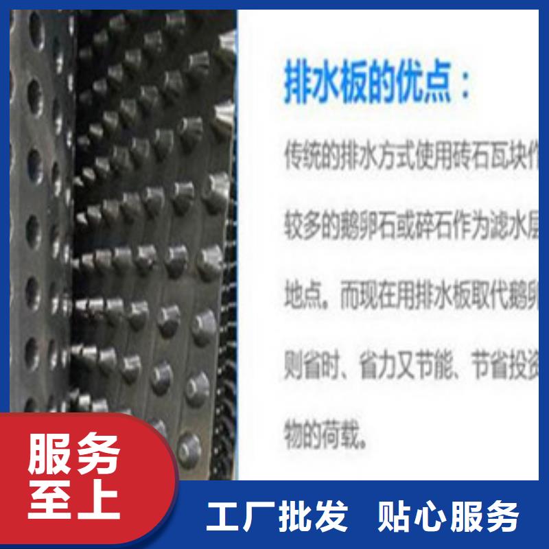 塑料排水板塑料土工格栅专业生产N年