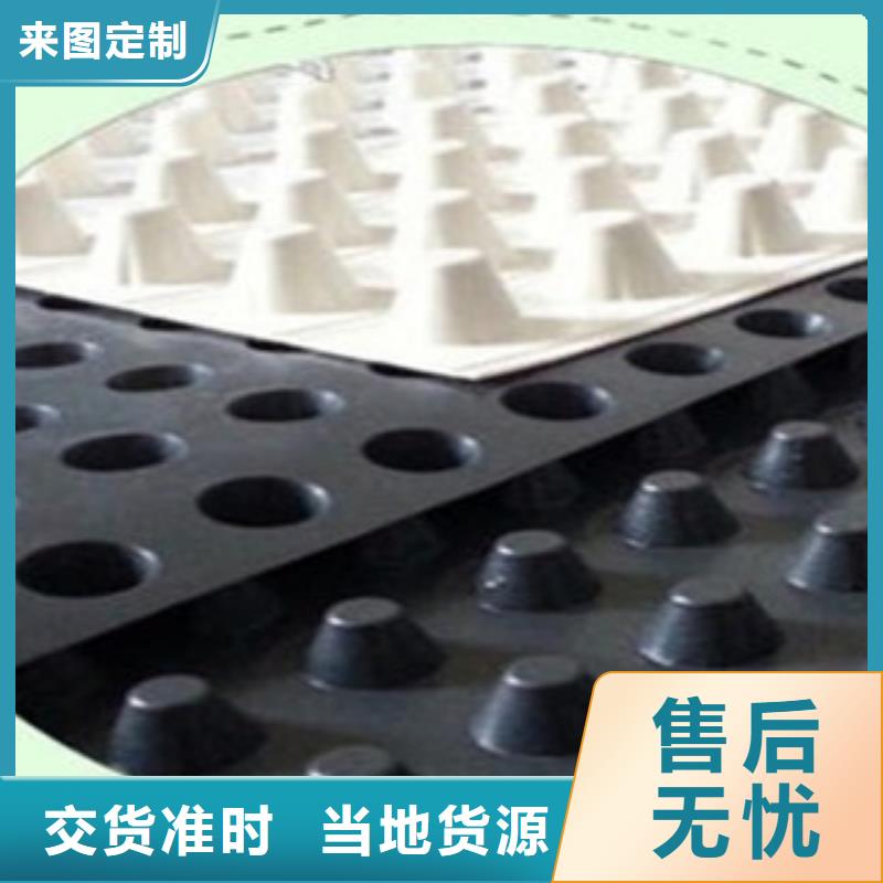 塑料排水板塑料土工格栅专业生产N年