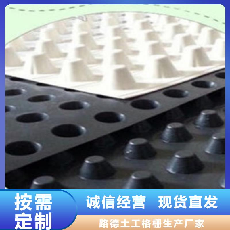 塑料排水板钢塑土工格栅专业生产制造厂