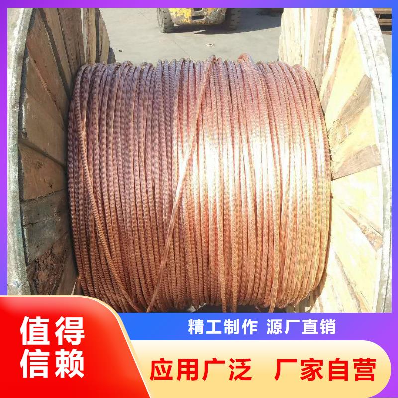 铜绞线_【紫铜带】实力优品 辰昌盛通金属材料(葫芦岛市分公司)