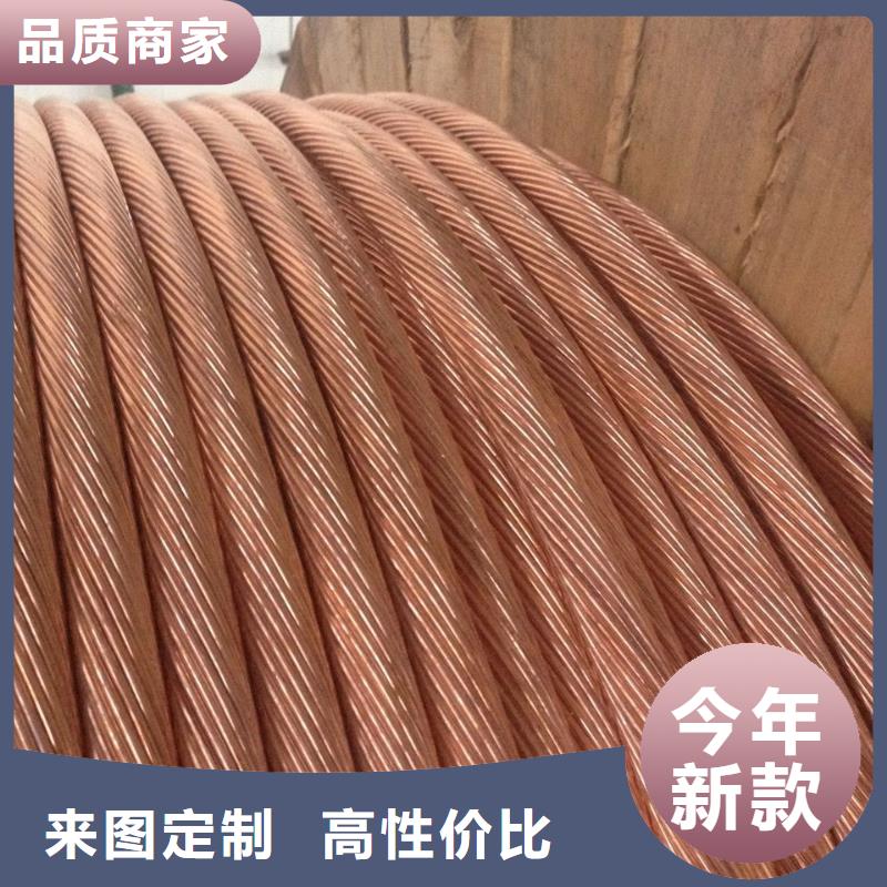 接地镀锡铜绞线120㎜2