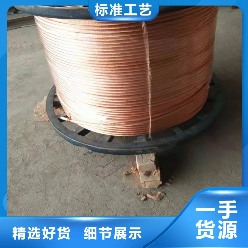 辰昌盛通【铜绞线_紫铜棒好品质用的放心】-业务覆盖区域|安岳|乐至|广安|攀枝花|凉山|德阳|巴中|眉山-云商赢企