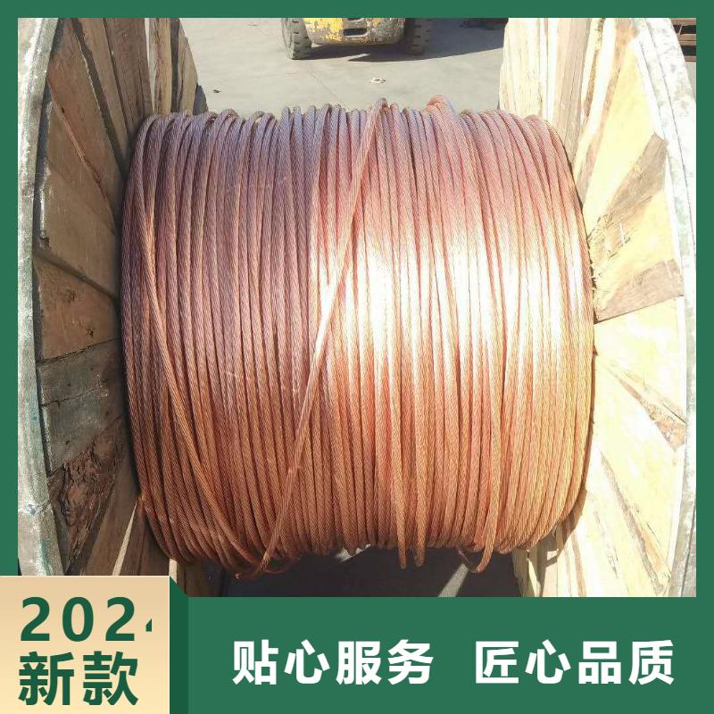 接地镀锡铜绞线240㎜厂家现货