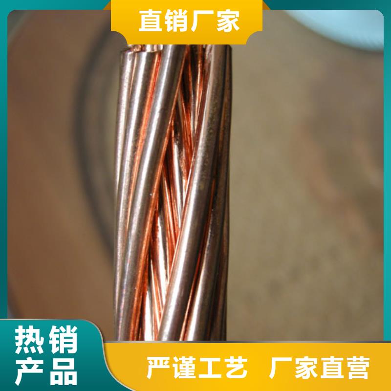 辰昌盛通【铜绞线_紫铜棒好品质用的放心】-业务覆盖区域|安岳|乐至|广安|攀枝花|凉山|德阳|巴中|眉山-云商赢企
