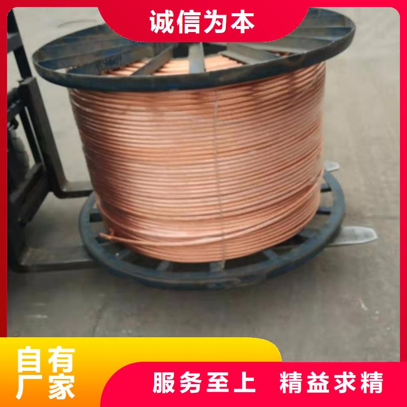 【铜绞线紫铜排专注品质】