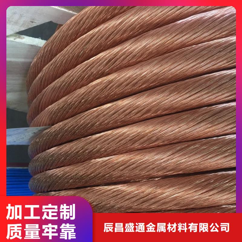 铜绞线 紫铜排一站式厂家经验丰富质量放心