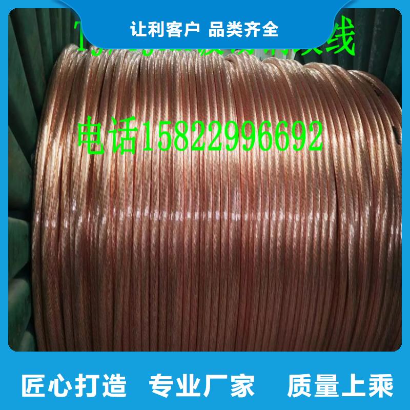 乐东县铜绞线详细技术参数正规厂家一米多少钱
