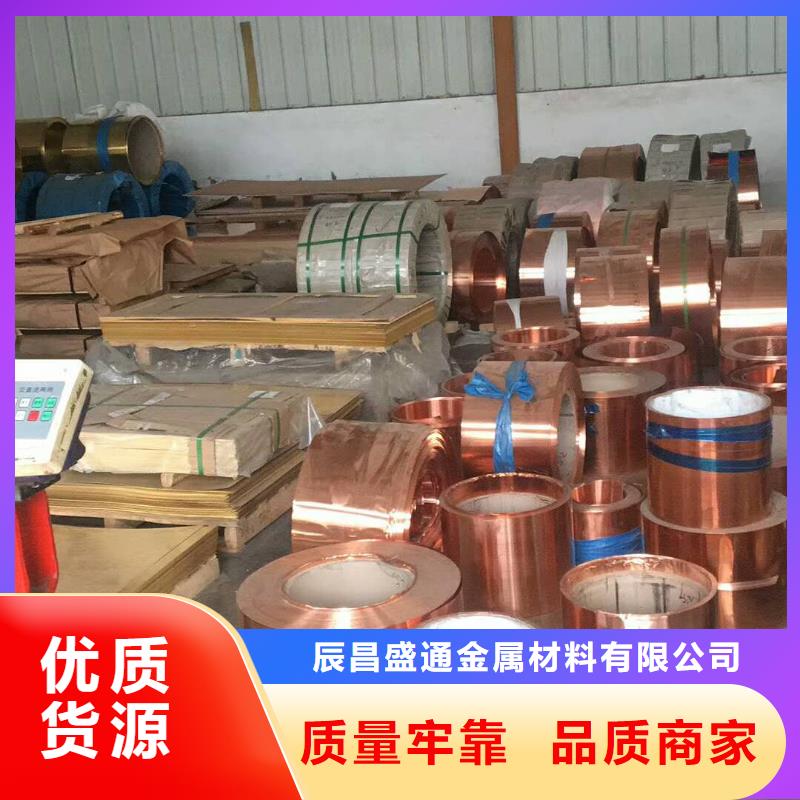 紫铜板镀锡铜绞线源头厂家