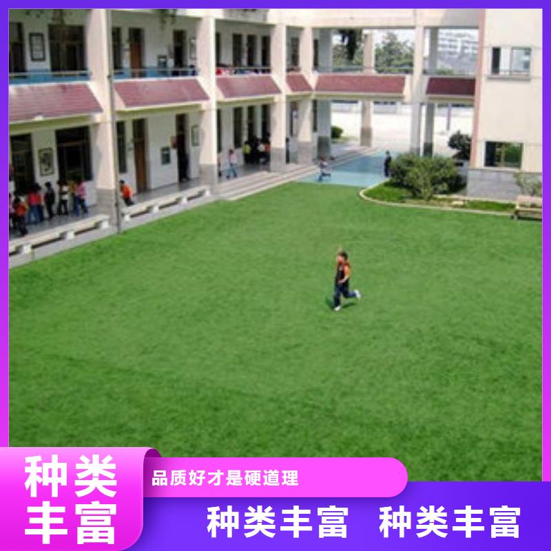 人造草坪,乒乓球台可定制