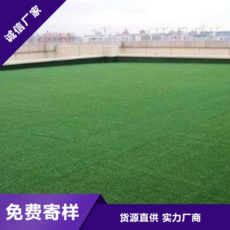 人造草坪硅pu球场精工打造