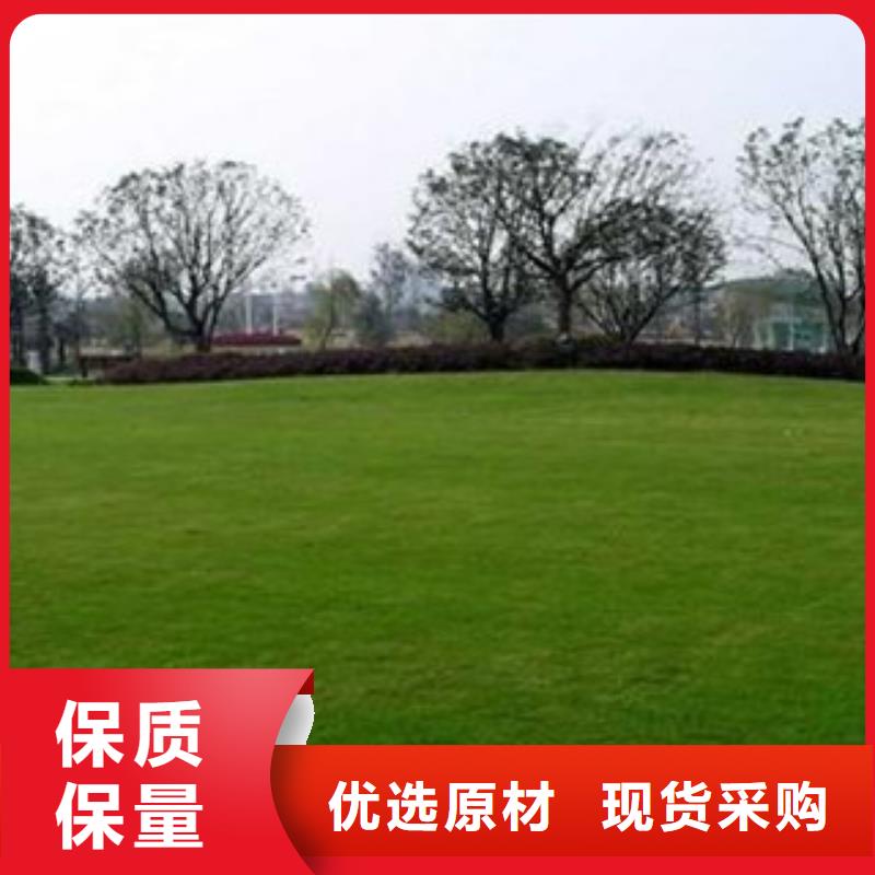 人造草坪塑胶地板产品细节