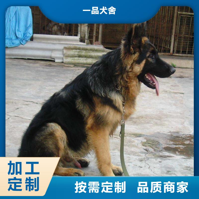 德国牧羊犬-罗威纳犬现货