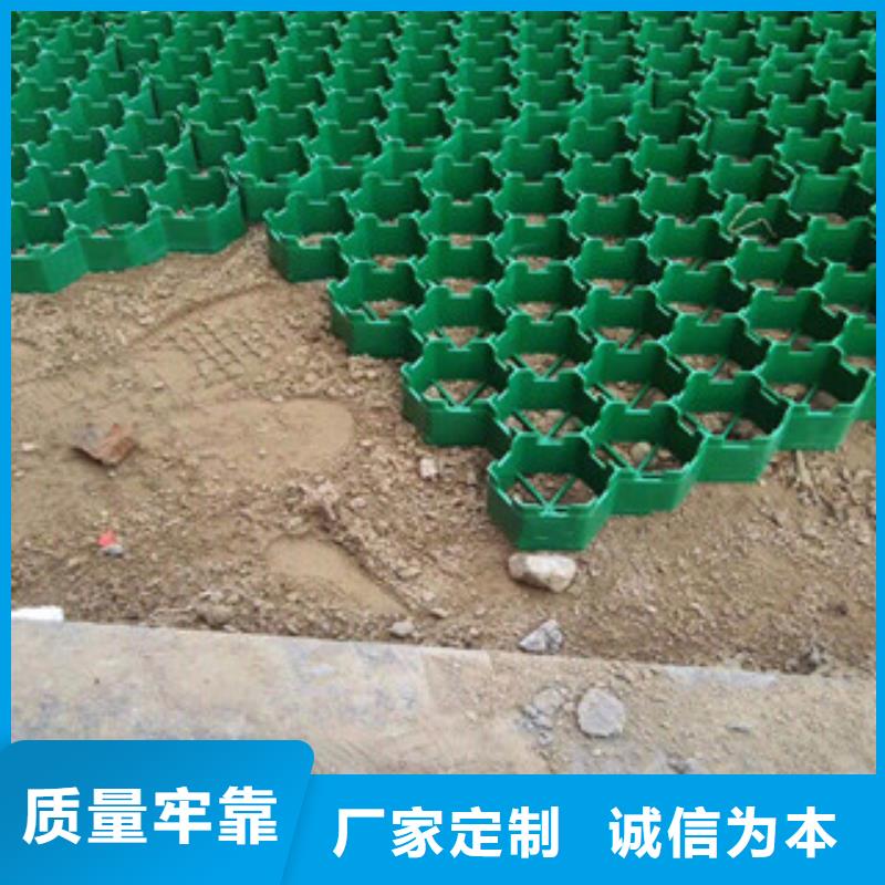 【环保植草格】生态袋厂家多行业适用