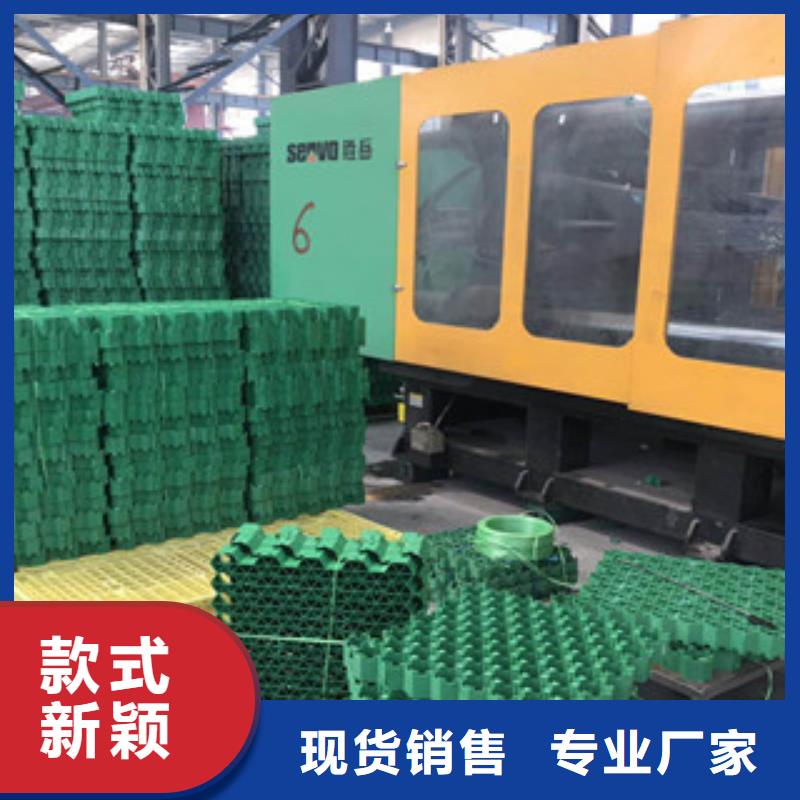 环保植草格蓄排水板厂家经久耐用