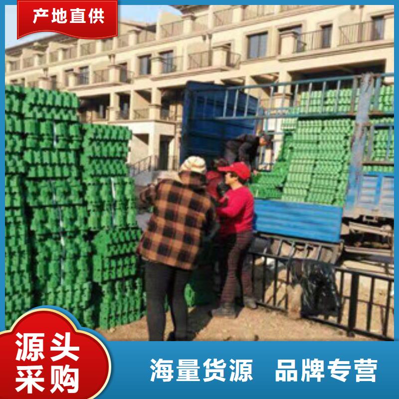 【环保植草格】无纺布厂家为品质而生产