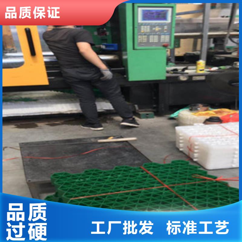 环保植草格-【土工膜厂家】满足客户所需