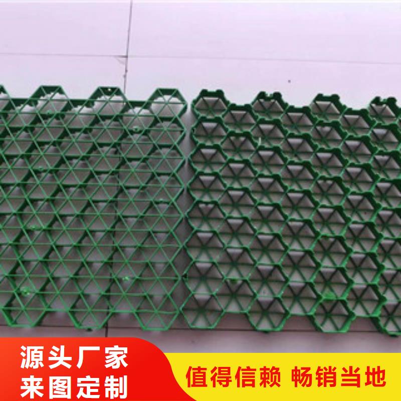 环保植草格植草格厂家实力商家供货稳定