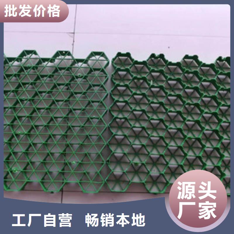 【环保植草格】生态袋厂家多行业适用