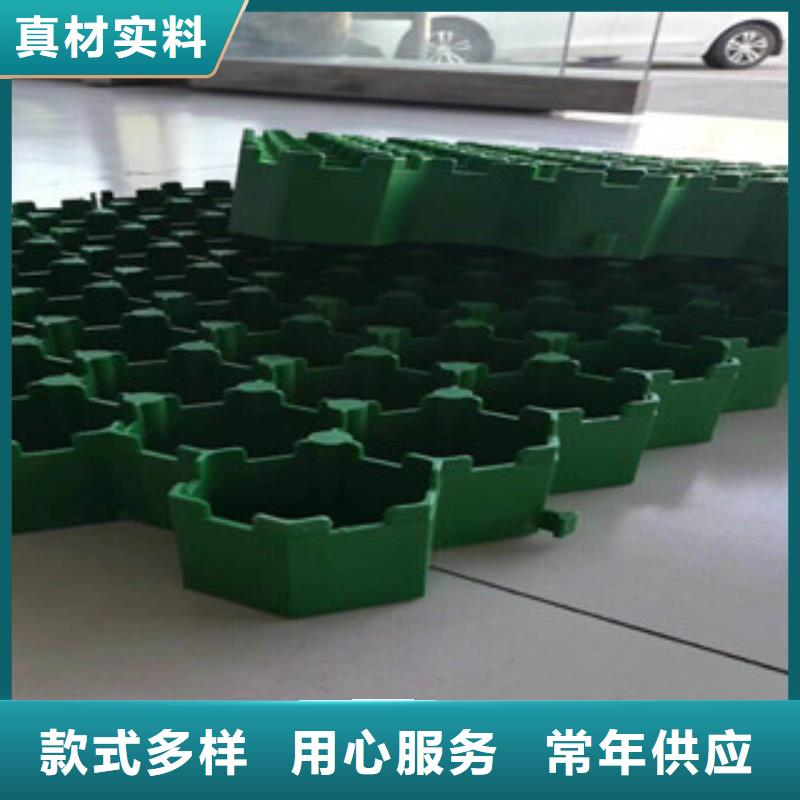 环保植草格-【土工膜厂家】满足客户所需