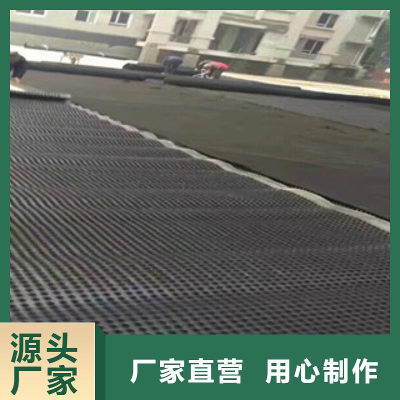 塑料排水板植草格厂家加工定制