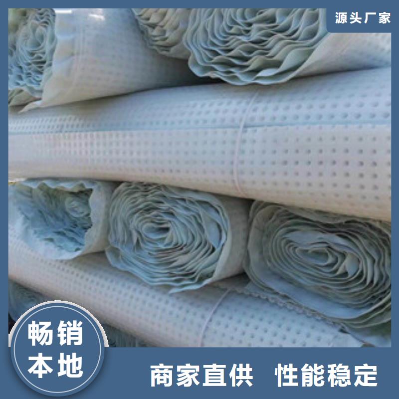 塑料排水板土工膜厂家诚信经营质量保证