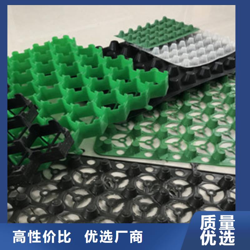 塑料排水板-土工布厂家实体诚信经营