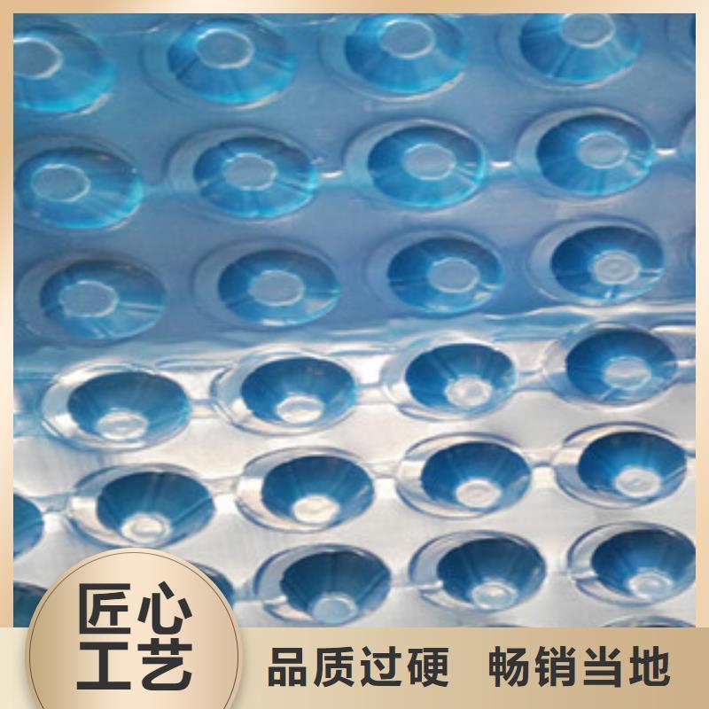 塑料排水板蓄排水板厂家大厂生产品质