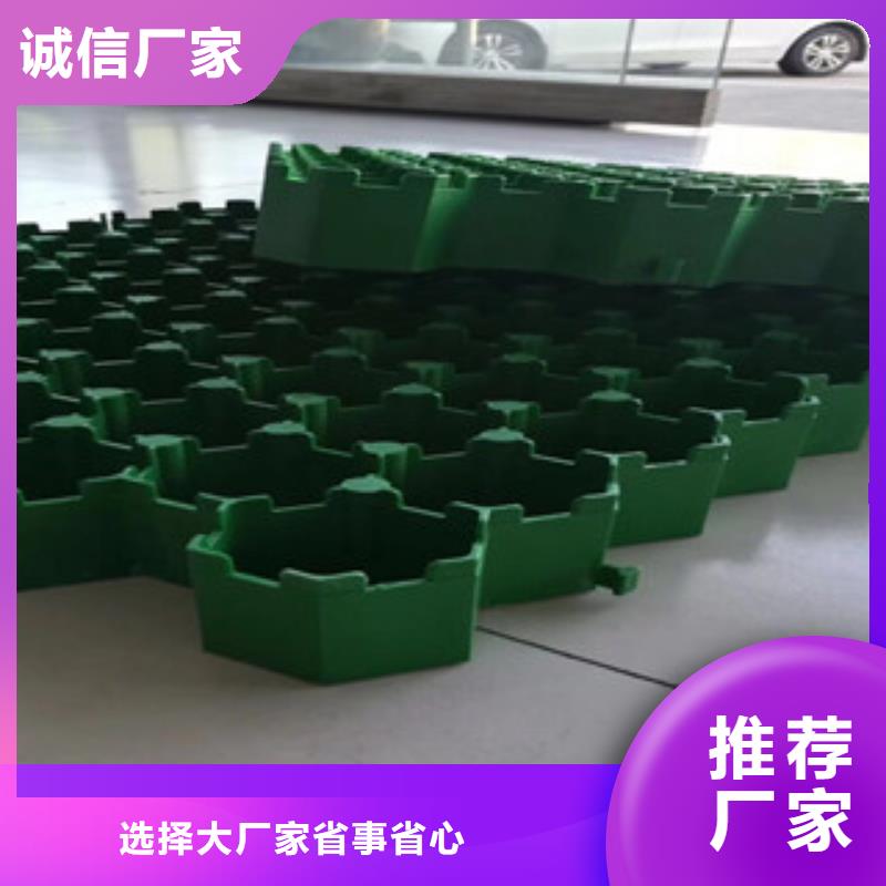 【植草格土工布厂家追求品质】