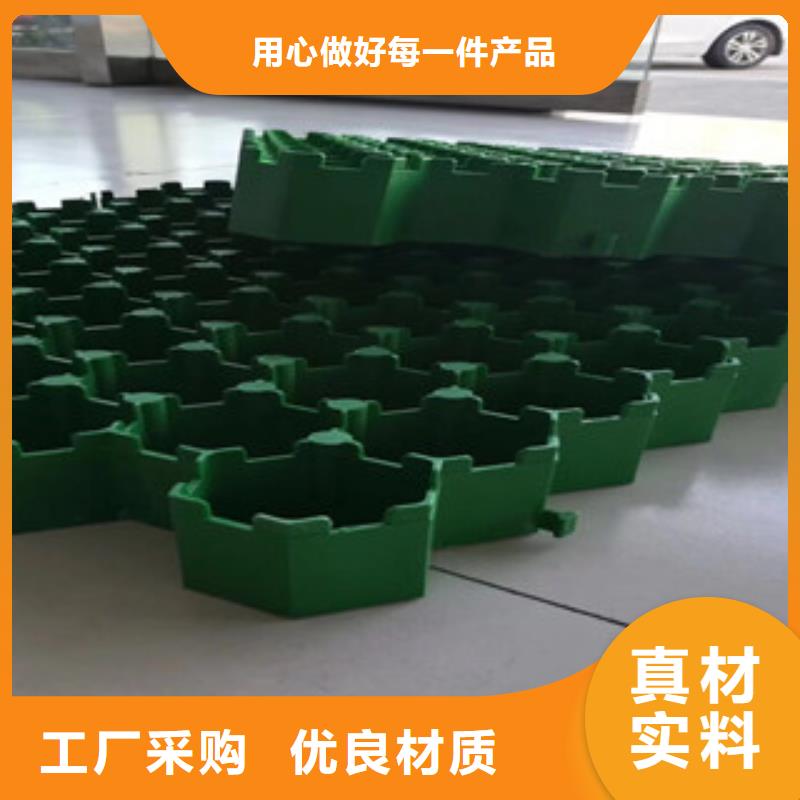 植草格生态袋厂家高品质诚信厂家