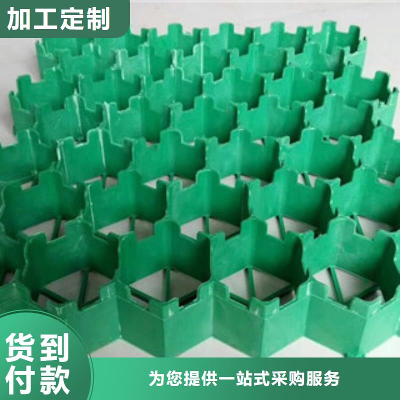 富泰植草格,【虹吸排水板厂家】性价比高