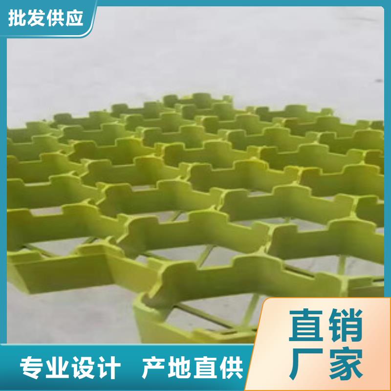 植草格土工布厂家定金锁价
