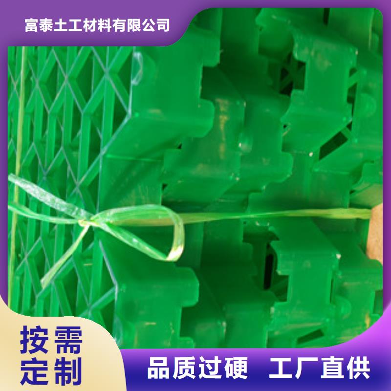 植草格-植草格厂家厂家精选