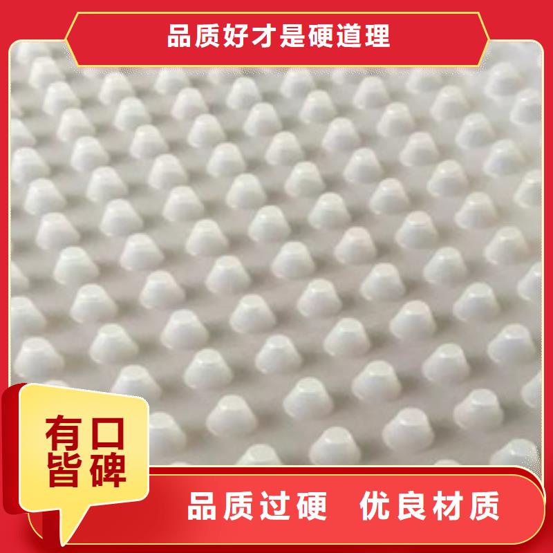 排水板蓄排水板厂家品质优良