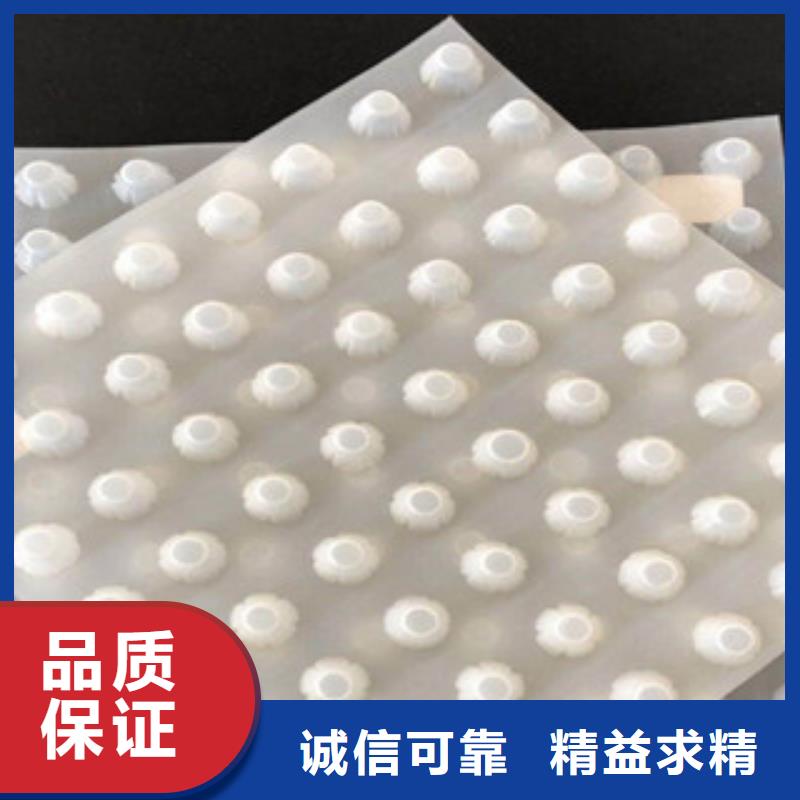 排水板_土工布厂家一站式供应厂家