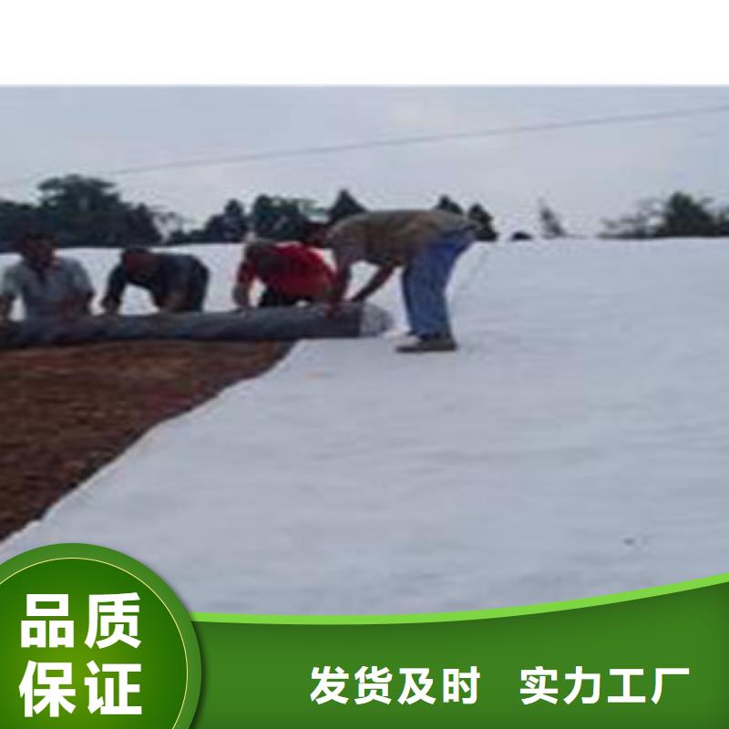 防水毯,植草格厂家热销产品