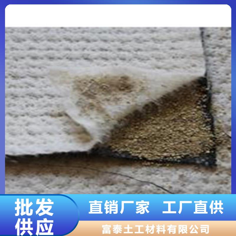 防水毯-土工布厂家价格有优势