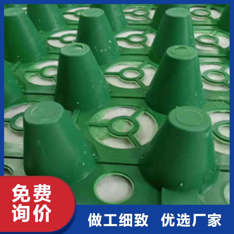 蓄排水板植草格厂家实地大厂