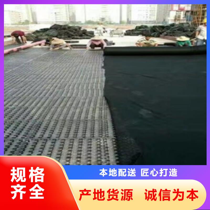 蓄排水板,植草格厂家精工打造