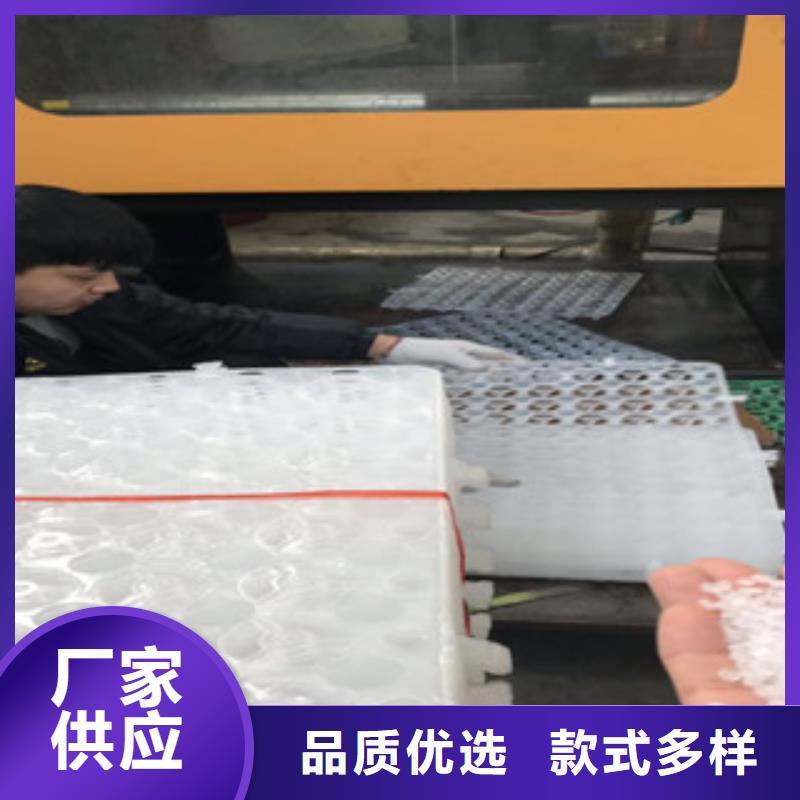【蓄排水板】_土工布厂家一致好评产品_富泰土工材料(南平市分公司)