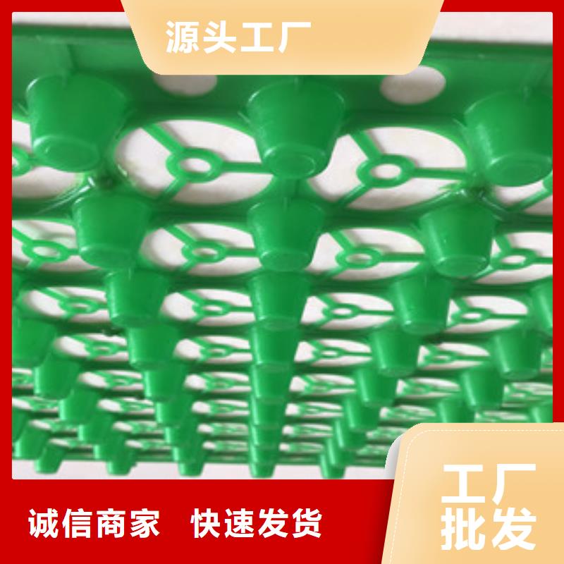 蓄排水板土工布厂家批发商