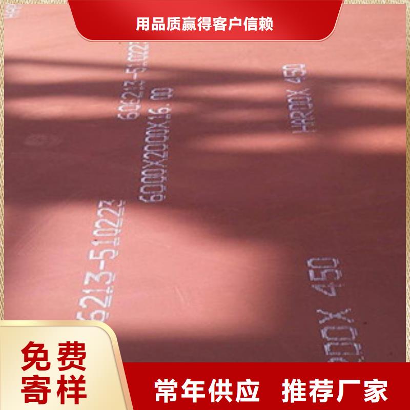 进口耐磨板进口耐磨钢板精心