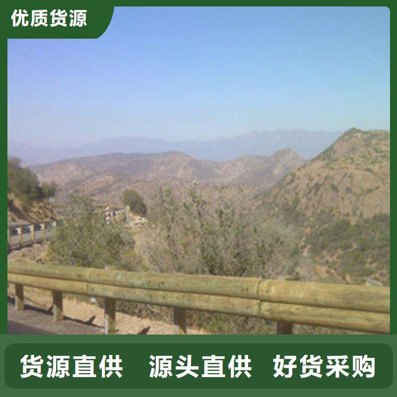 飞龙【 钢背木护栏 桥梁防撞护栏从厂家买售后有保障】-业务覆盖区域|肇州|龙凤|哈尔滨|绥化|齐齐哈尔|牡丹江|鹤岗|黑河|大兴安岭-云商赢企