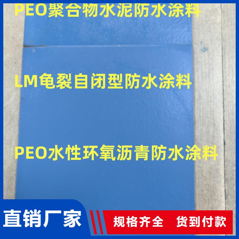 疏水性聚合物防水涂料真诚合作优选厂商疏水性聚合物防水涂料