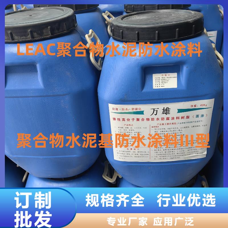 高性能环氧互穿聚合物防腐防水涂料工厂直供批发CPO-三防一体防腐防水涂料