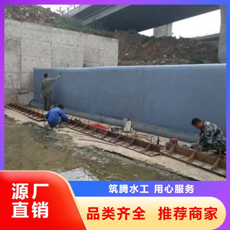 液压双控翻板闸门厂家型号齐全