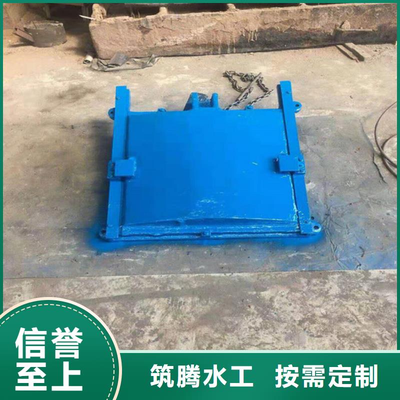 冲砂闸铸铁闸门真诚合作