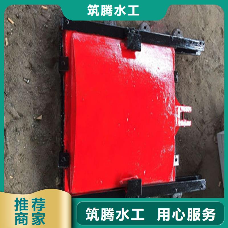 附壁式铸铁闸门厂家直销
